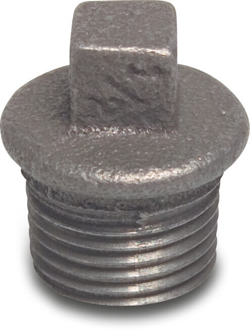 Profec Nr. 290 Plug gietijzer zwart 2" buitendraad 25bar DVGW